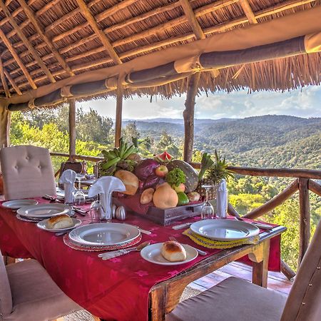 Ngorongoro Forest Tented Lodge Karatu Exterior foto
